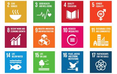 UN sustainable development goals