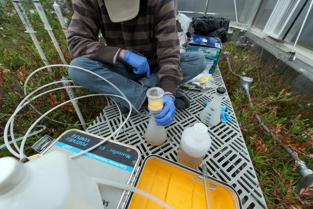 SPRUCE Climate Change Experiment. The yellow-brown fluid is bog water running through a filter that extracts microbial genetic strands. Photo by Ben Brumfield.